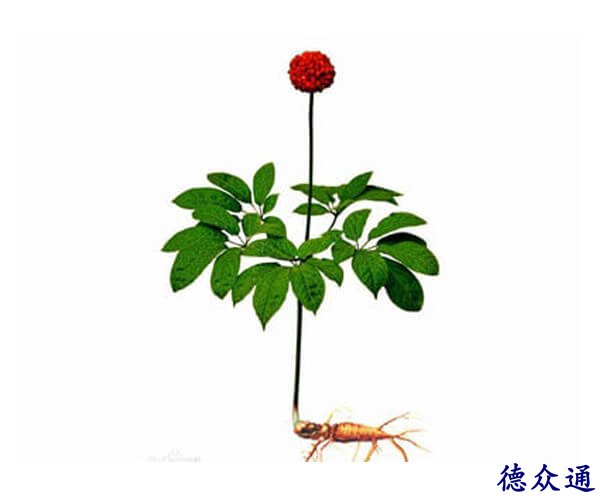 智慧生产嵌入式在线实施解决方案